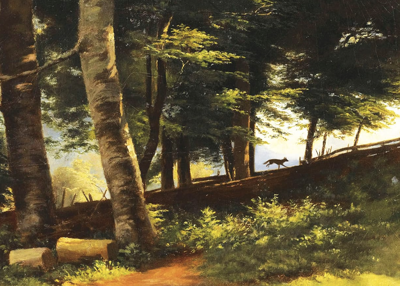 An illustration of a dog running through the woods.