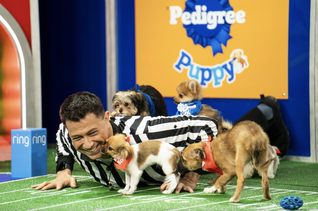 The 2024 Puppy Bowl: Team Fluff, Team Ruff Go Head-to-Head | KQED