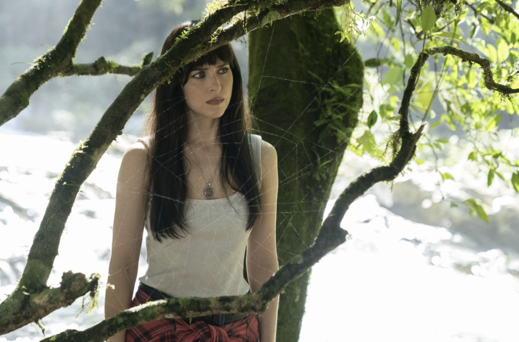 A slender white woman with long dark hair stands in front of an elaborate spider web.