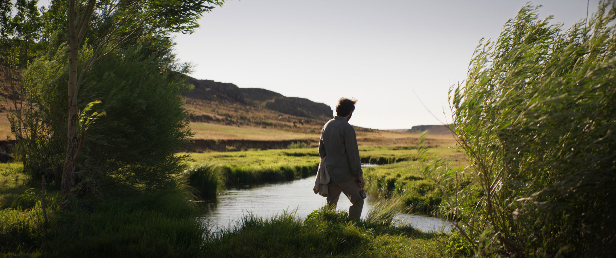 Figure looks out at beautiful green country landscape