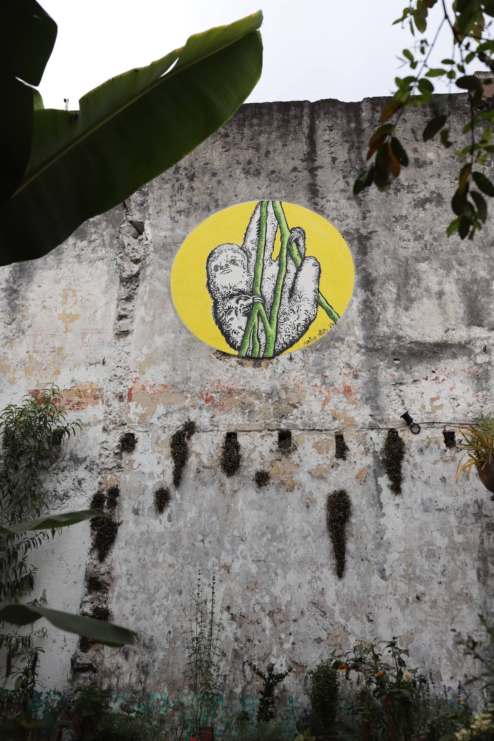 a mural of a sloth is painted on a tall concrete wall in an outdoor garden