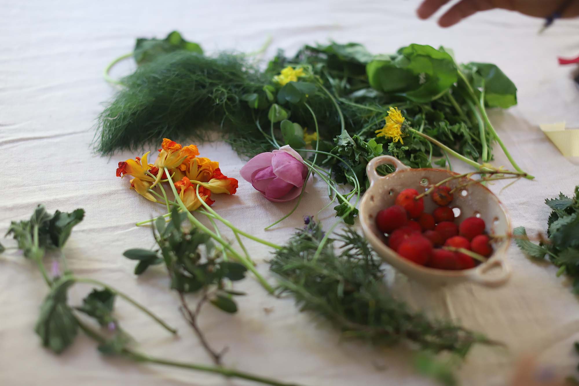 A colorful spread of edible plants and flowers, arranged on a white tablecloth.