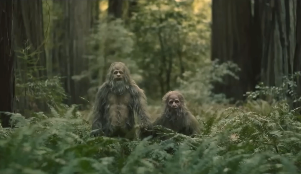 Two sasquatches stand facing forward in a mass of foliage, tall trees behind them.