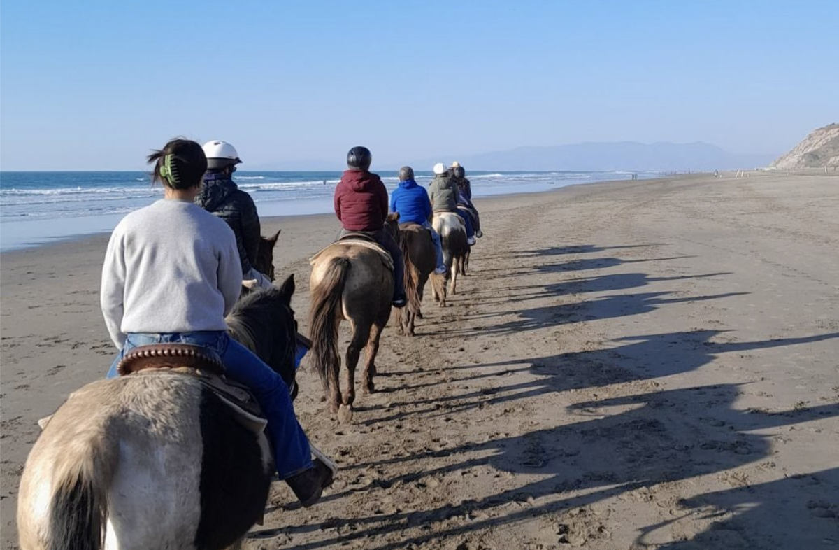 A line of riders on horses walk down a beach in line.