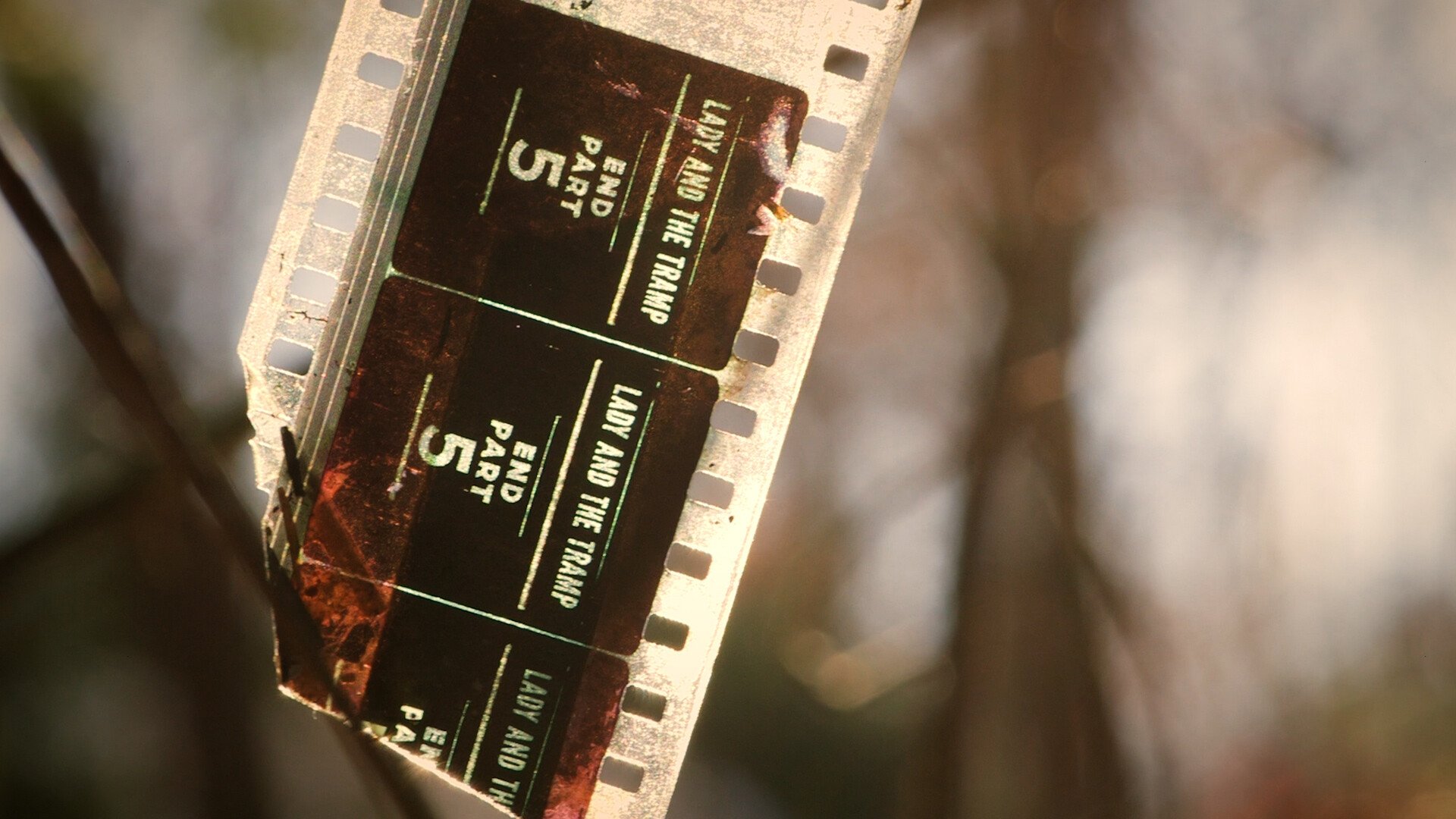 35mm film strip showing 'Lady and the Tramp' title and 'end part 5'