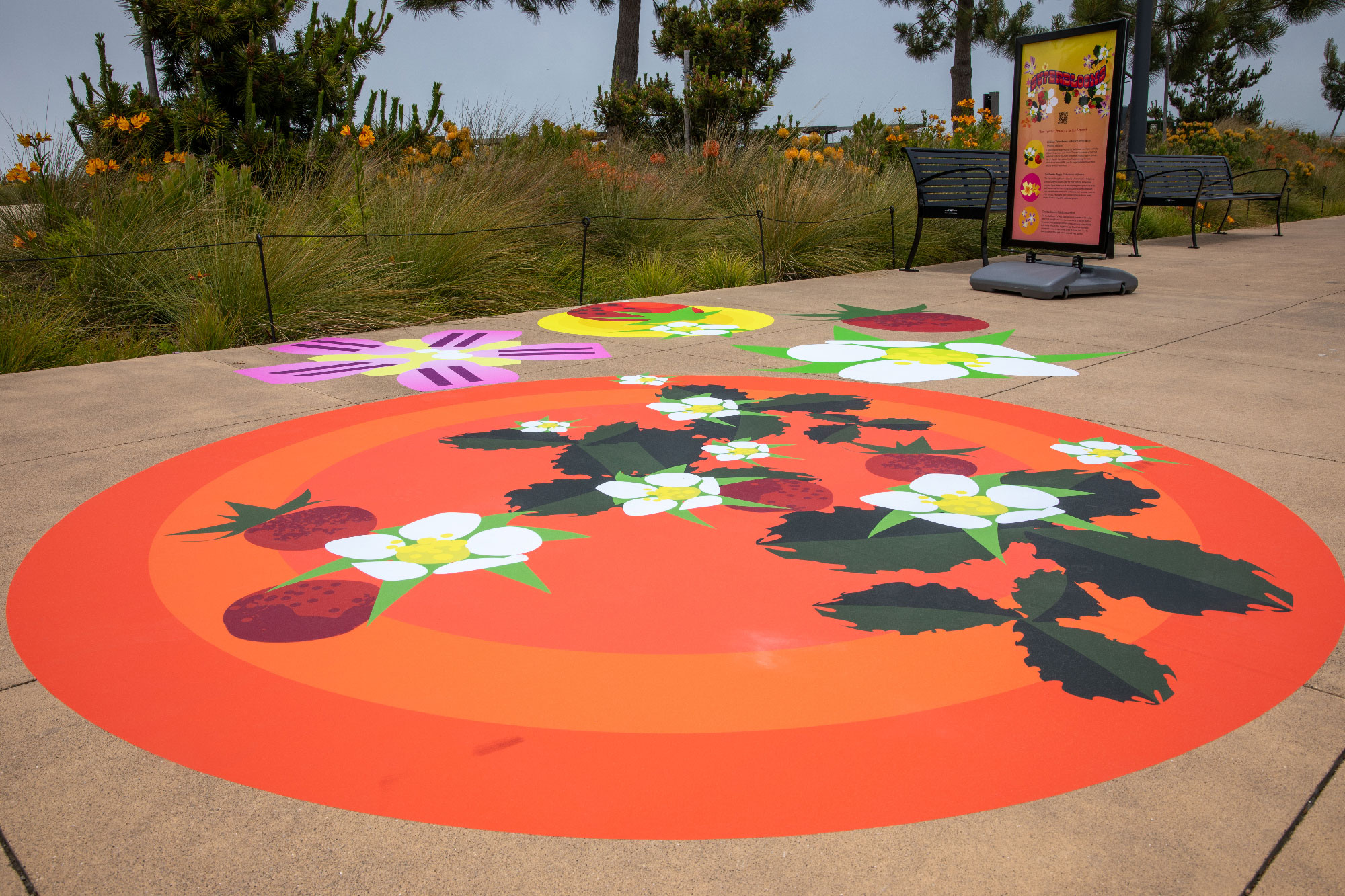 view of sidewalk with large orange decal and depictions of strawberry plant