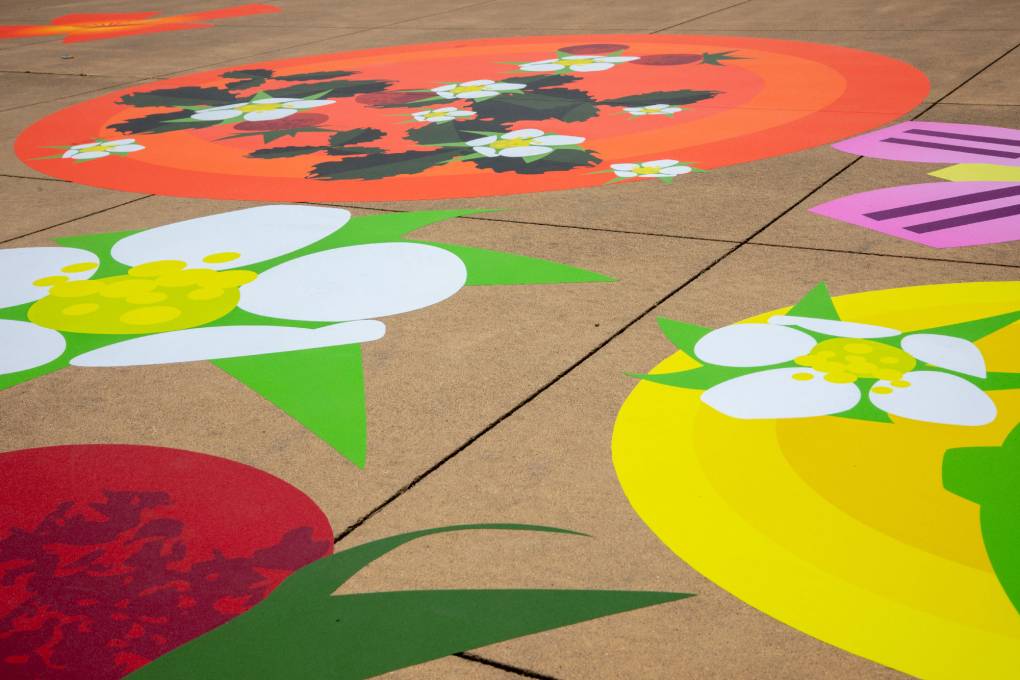 angled view of sidewalk with large floral decals on surface