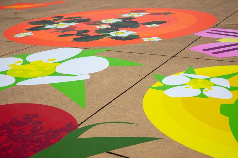 angled view of sidewalk with large floral decals on surface