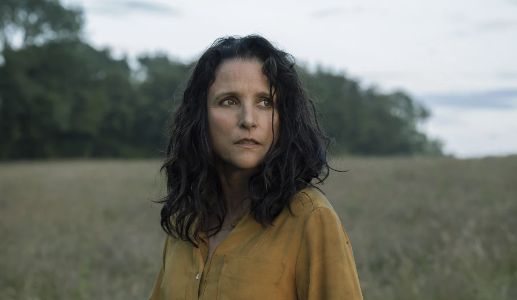 A woman with a worn expression stands in a tree-lined field, looking into the distance.
