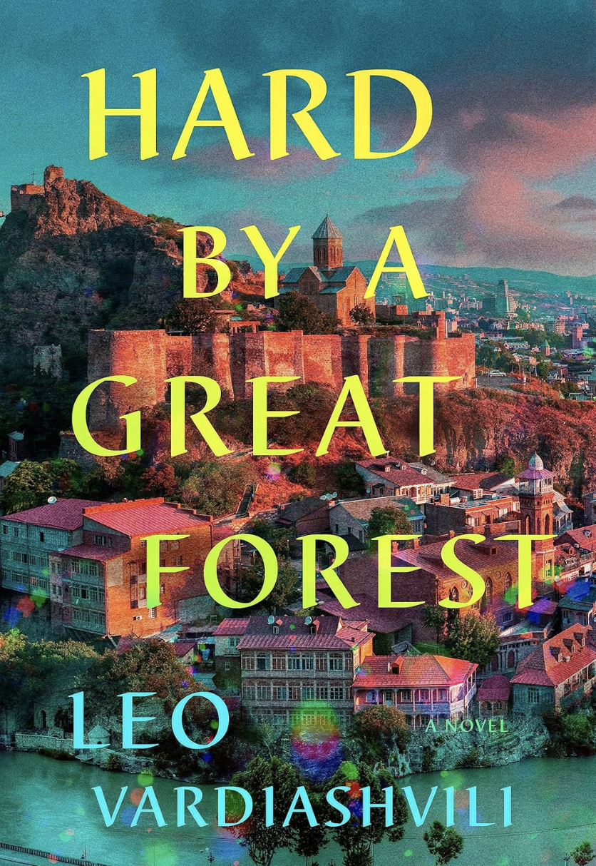 A book cover featuring an exotic small town on a hillside at dusk.