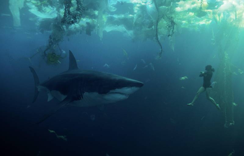 A woman floats upright under water, facing an enormous shark.