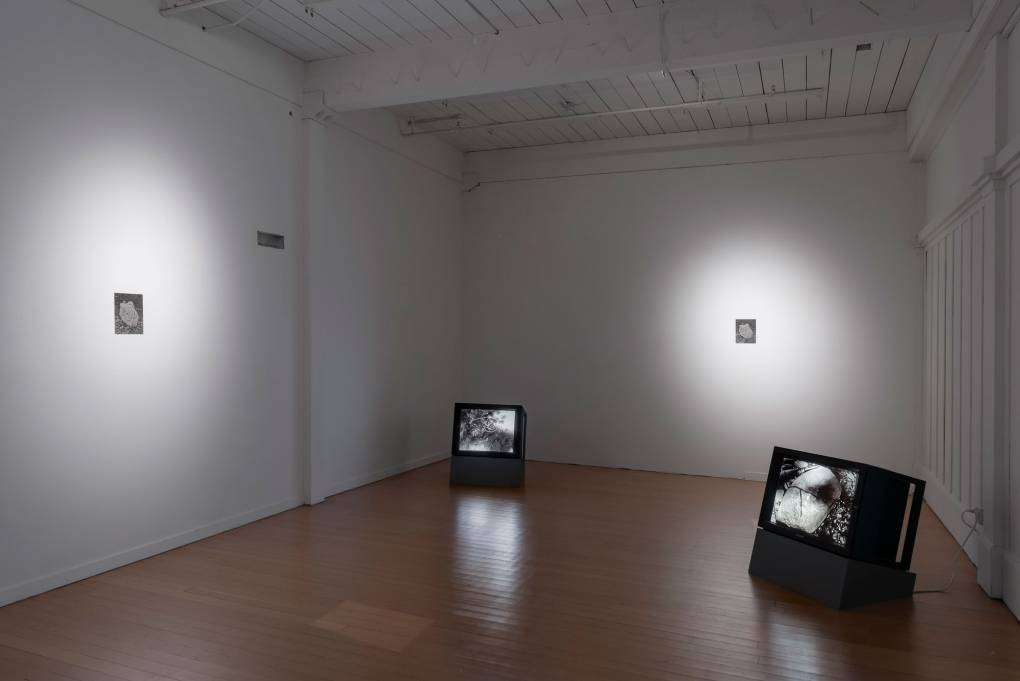 two video monitors on floor and two small black-and-white photographs spotlit in gallery