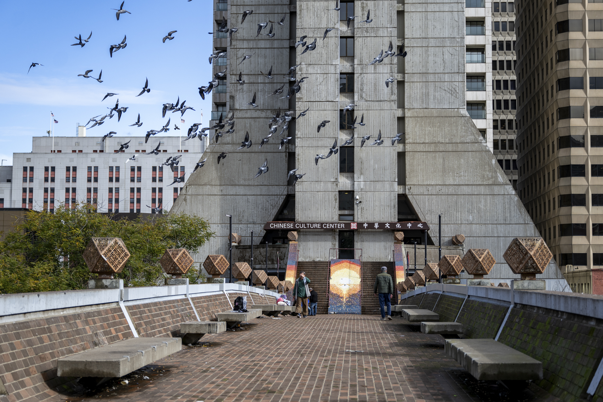 Birds fly above a pedestrian bridge connecting a Hilton to Portsmouth Square in San Francisco's Chinatown neighborhood on Jan. 22, 2024.