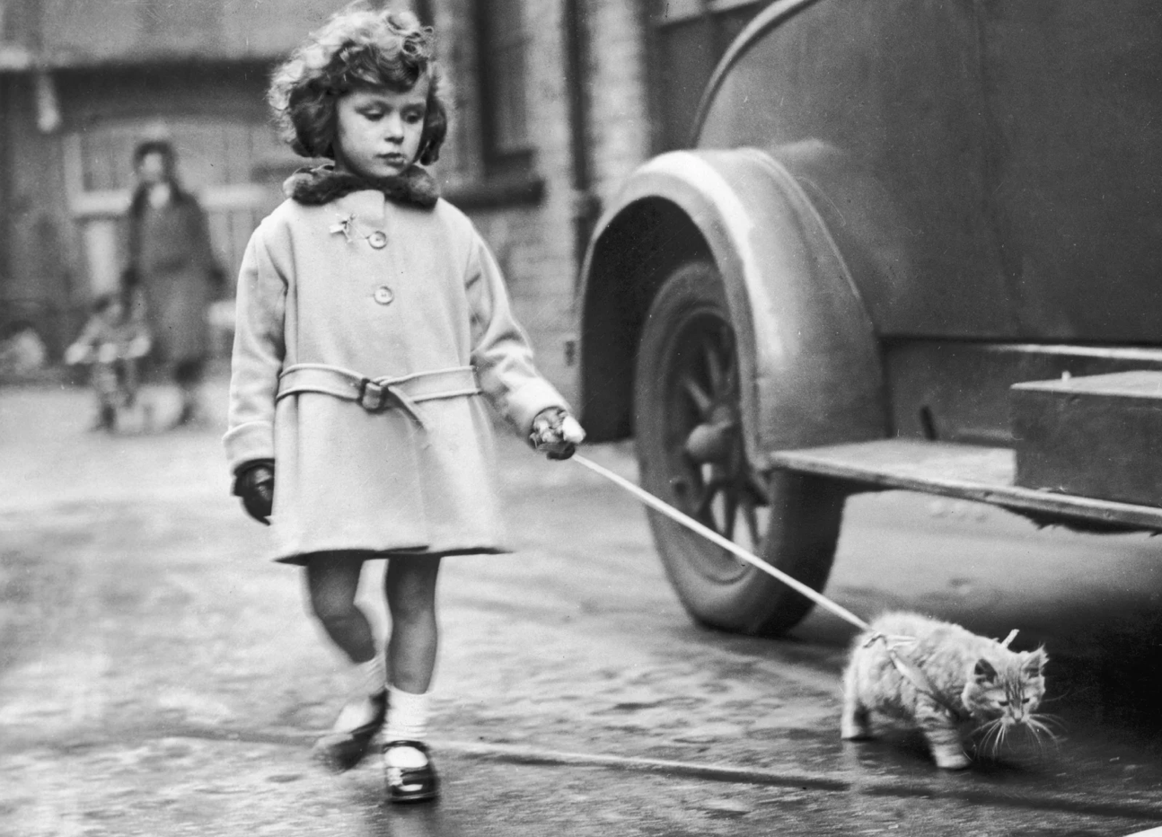 A little girl in a winter coat walks through the streets with a kitten on a leash.