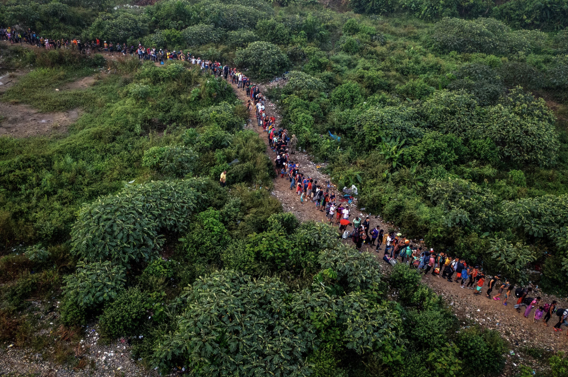 An aerial shot of a long line of people walking on a path carved out between dense forest on either side.