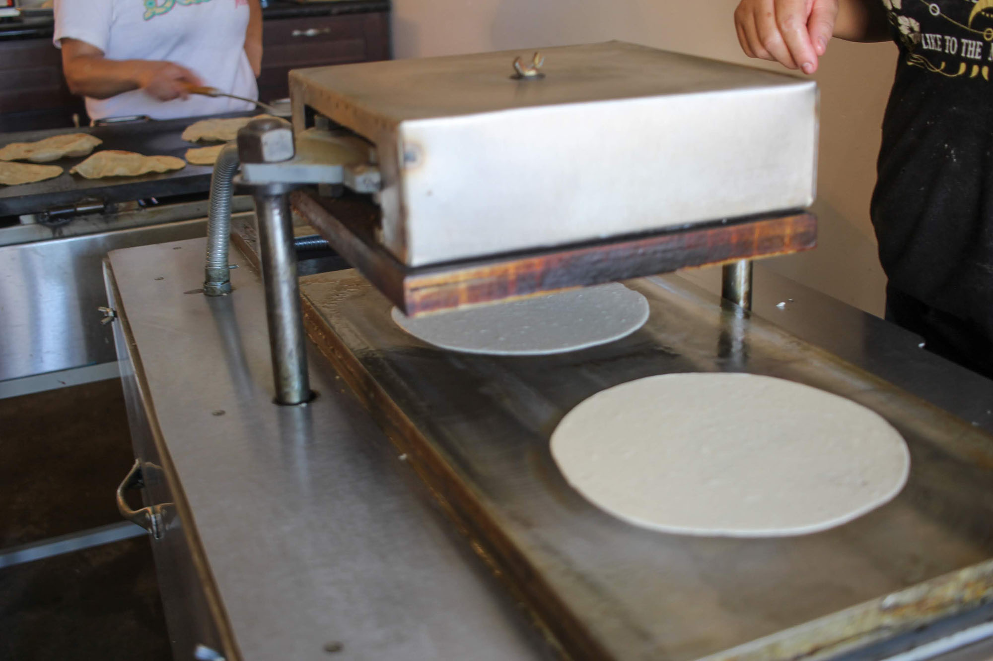 Flattened tortilla dough on an industrial tortilla press.