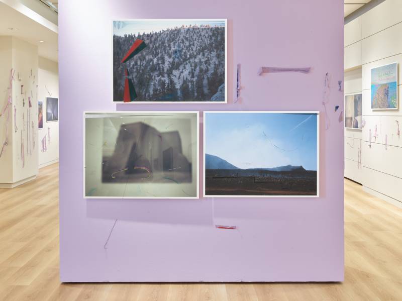 three color photographs with painted elements hung on lavender wall in gallery