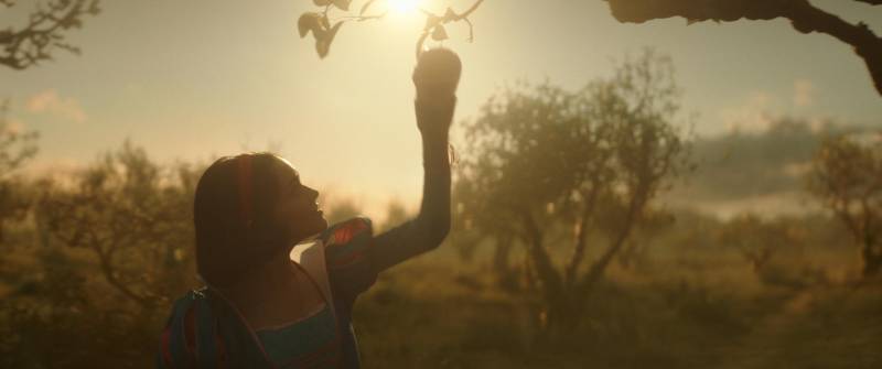 The silhouette of a girl reaching up to the branches of a tree as the sun retreats in the background.