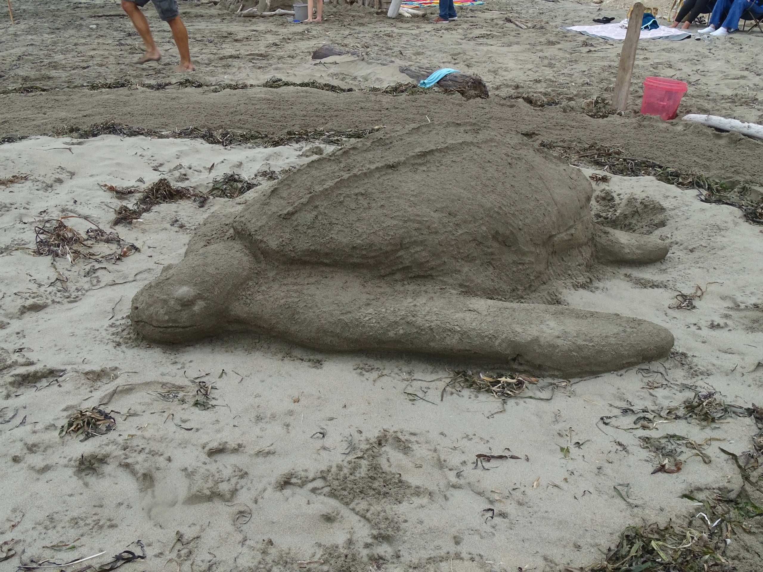 A sand sculpture of a tortoise.