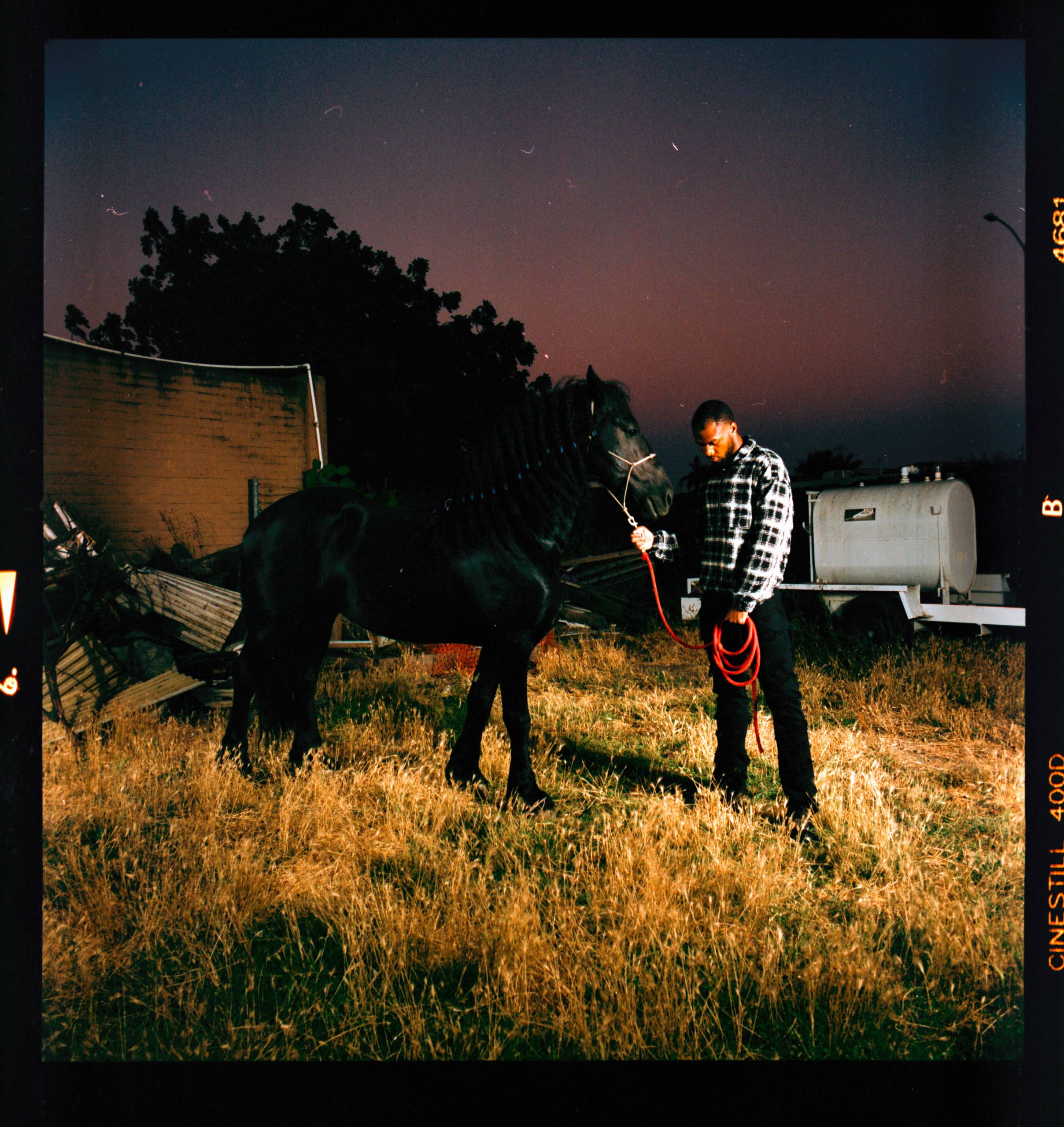 a photographer takes a self portrait in front of a horse in East Palo Alto