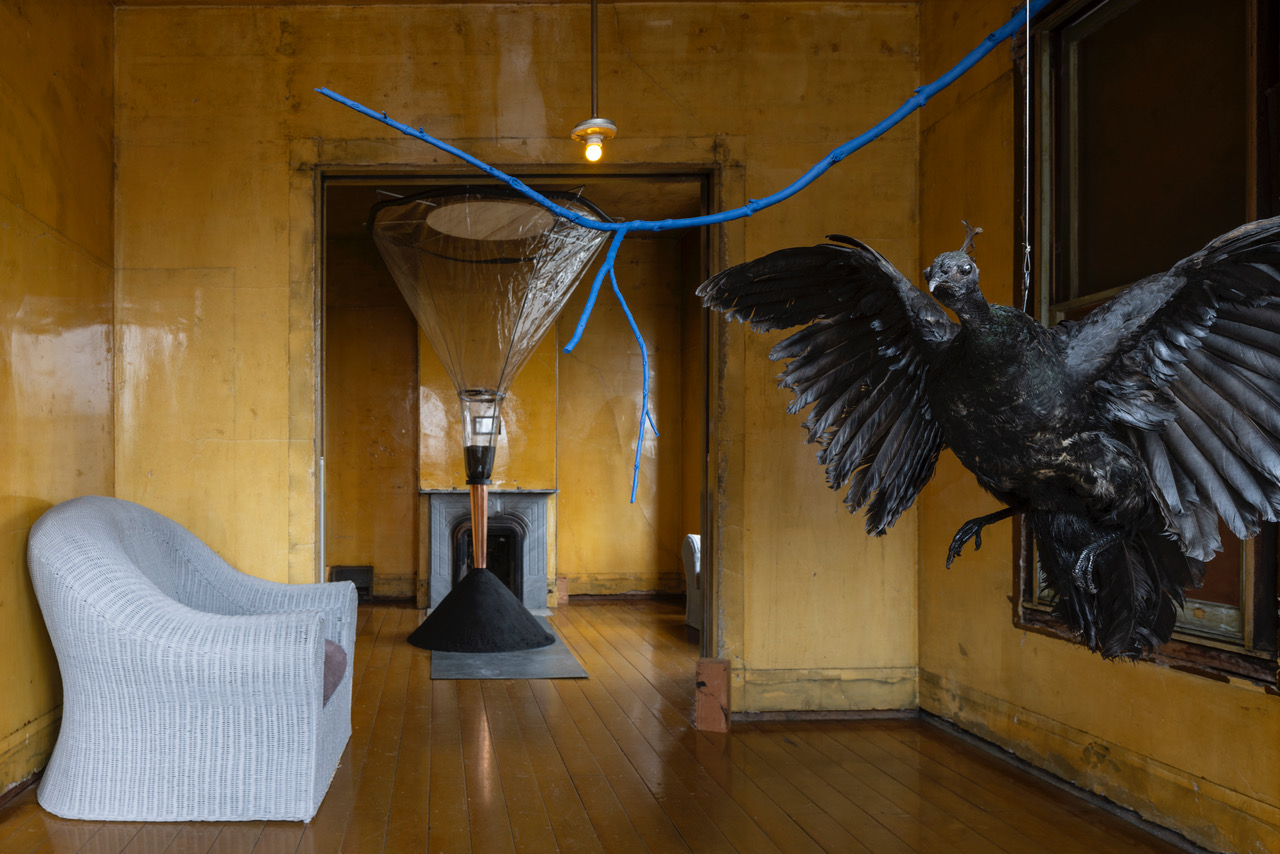 black stuffed bird with raised wings in room with glossy yellow walls