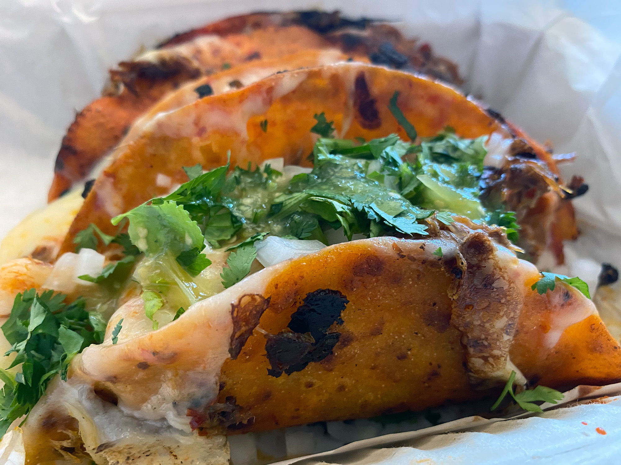 Closeup of a quesabirria taco, with charred edges on the outside of the tortilla.