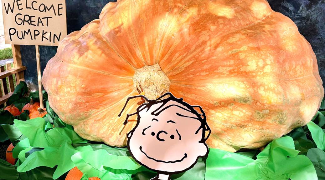 PUMPKIN学園/PumpKin 8mmCD Spookie Pumpkin (96 Days) – Pinetree Garden Seeds