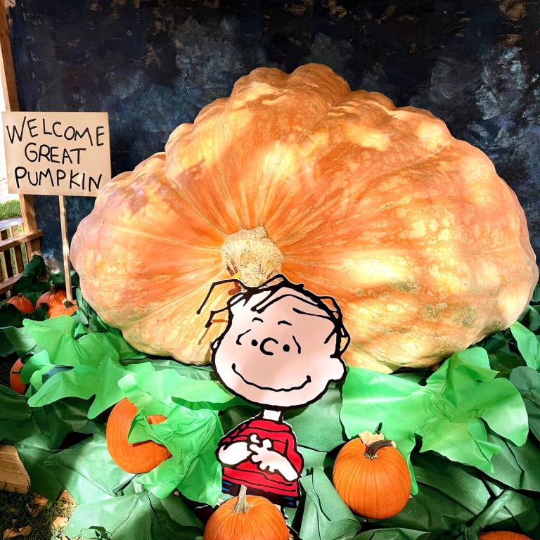 great-pumpkin-768x768.jpg