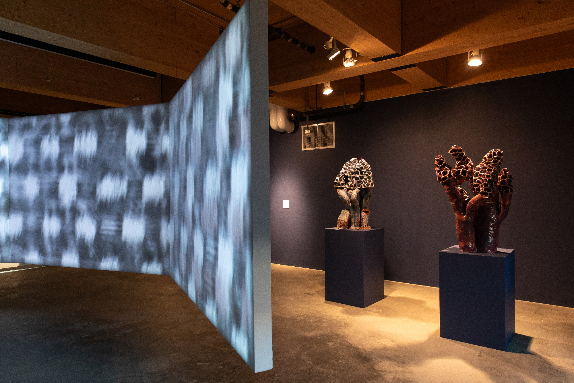 dark gallery with large projection across hanging screen, mushroom-like ceramics on pedestals