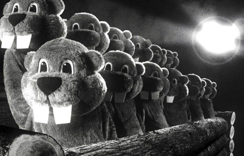 People wearing identical beaver costumes sit in two rows behind a large log.