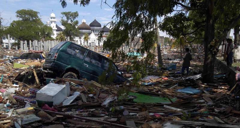 Piles of debris and an immobilized car sit beneath tropical trees.