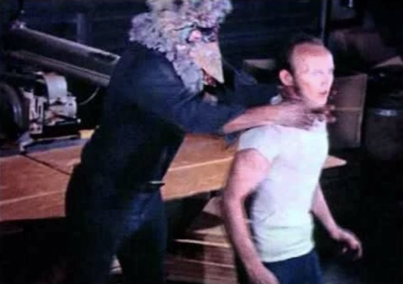 A Turkey Goes on a Killing Spree in 1972’s ‘Blood Freak’ | KQED