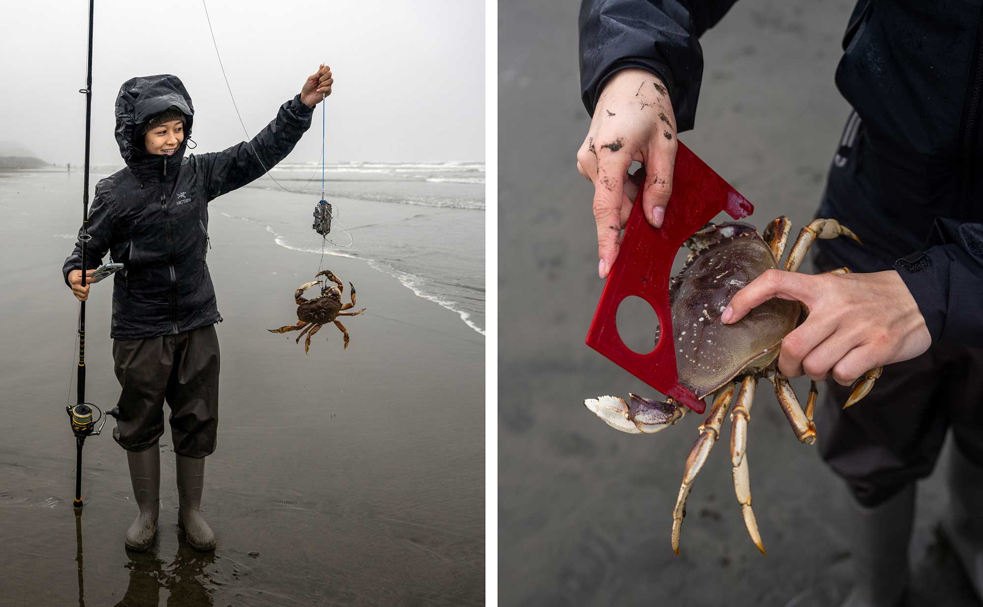 Left: A fisherman holds up her fishing line with a crab that she caught on the end. Right: She measures the crab to see if it's large enough to keep.