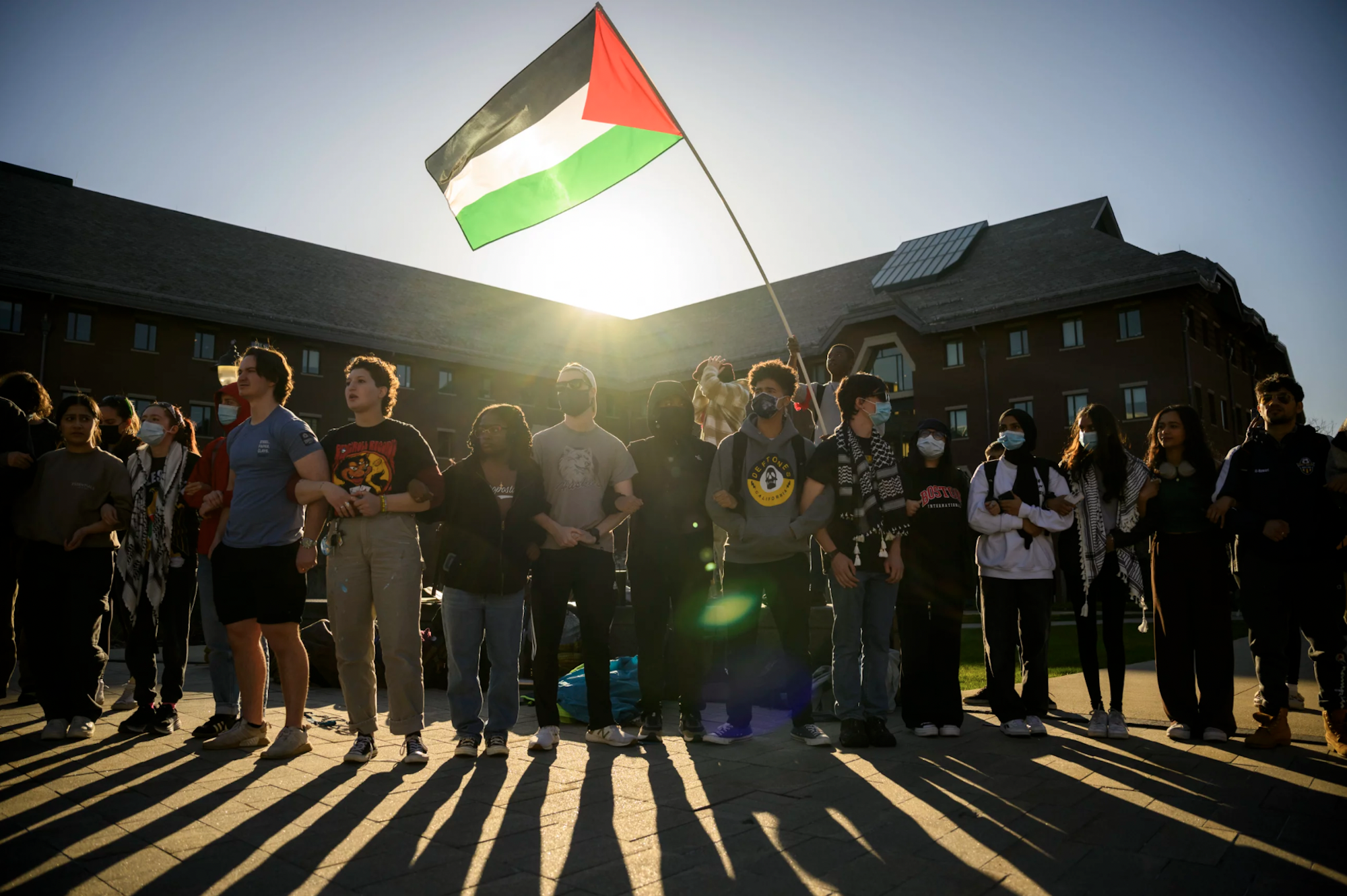 A group of protesters stand with arms linked, a Palestinian flag waving above their heads.
