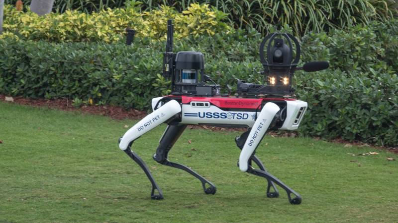 A dog-shaped robot walking on grass near manicured hedges.