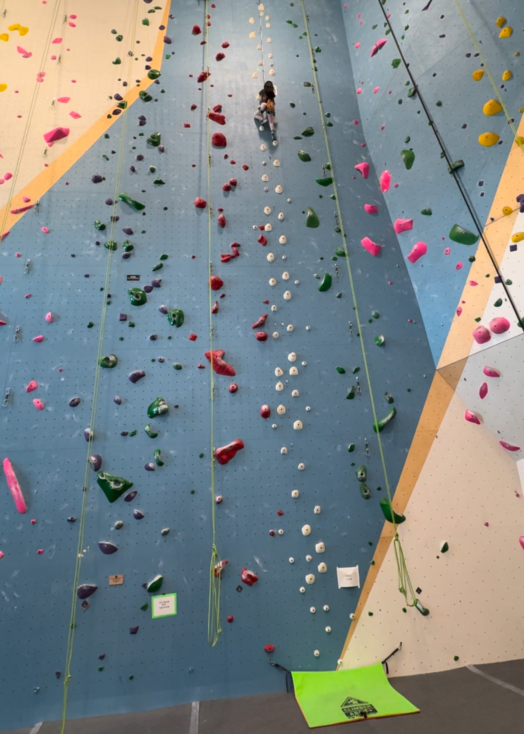 A young girl climbs a very high rock climbing wall.