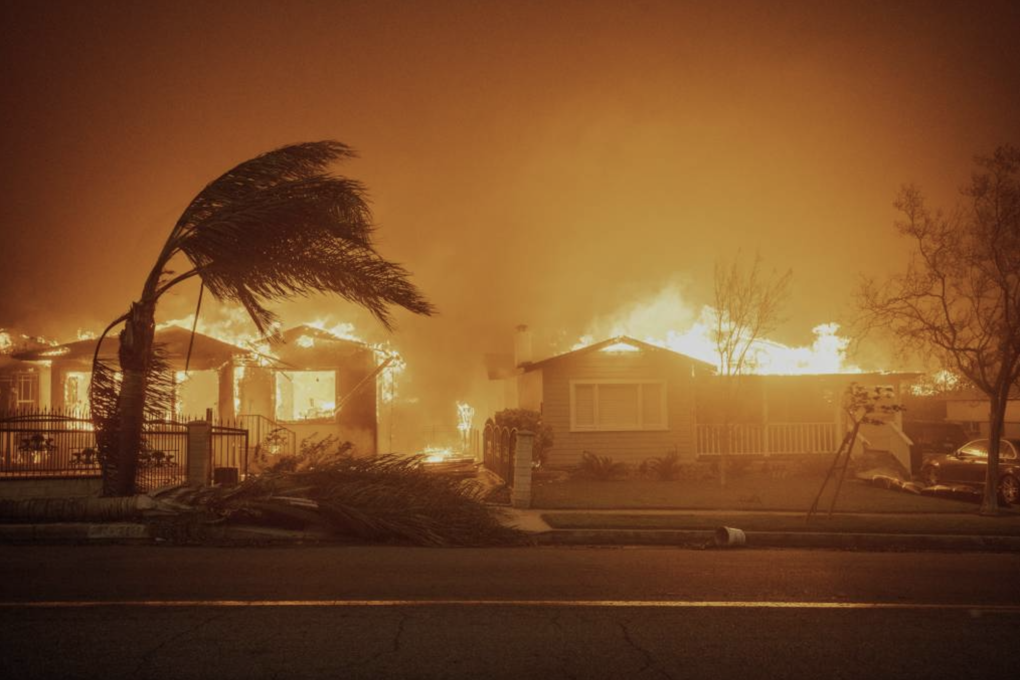 Houses burn violently under a dark and smoky sky as a palm tree bends under pressure from high winds.