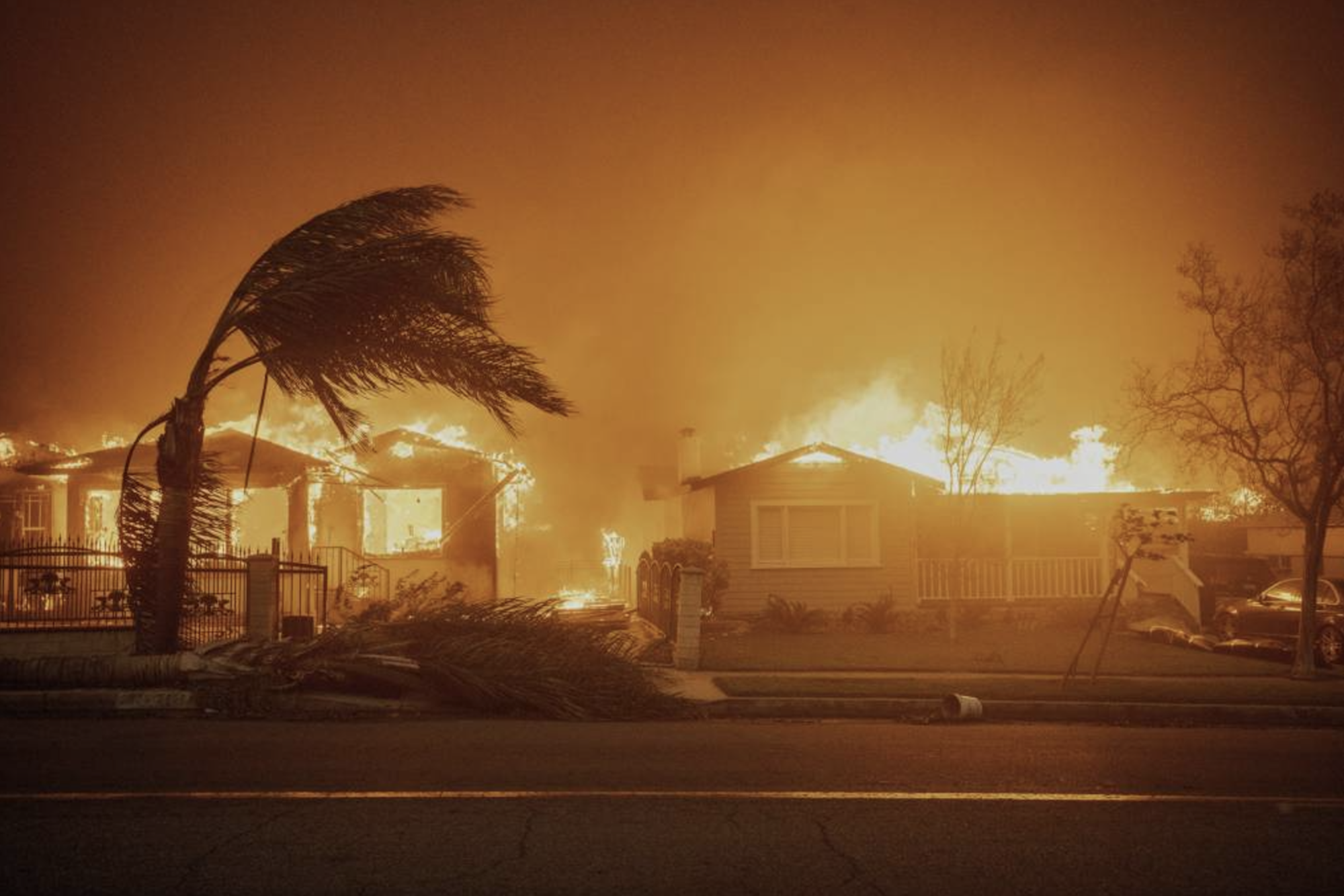 Houses burn violently under a dark and smoky sky as a palm tree bends under pressure from high winds.