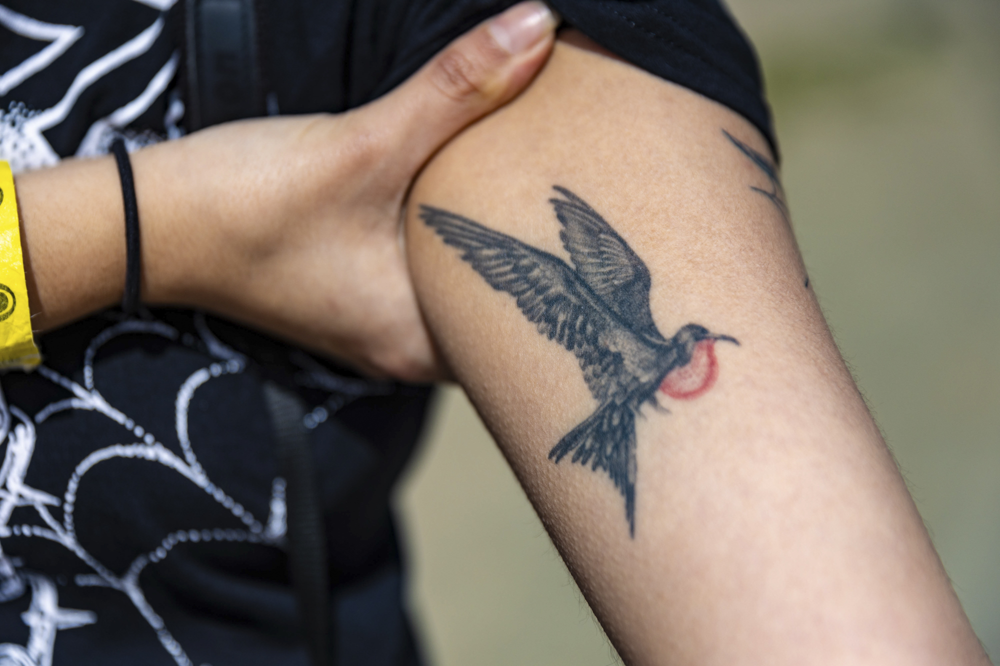 black ink tattoo of bird with red throat on inside of arm