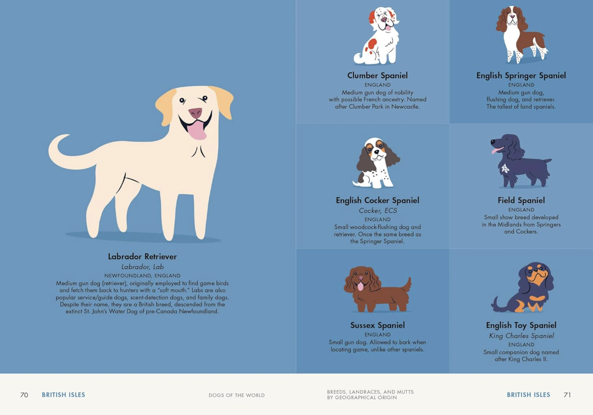 Two pink pages featuring illustrations of 7 dog breeds from the British Isles.