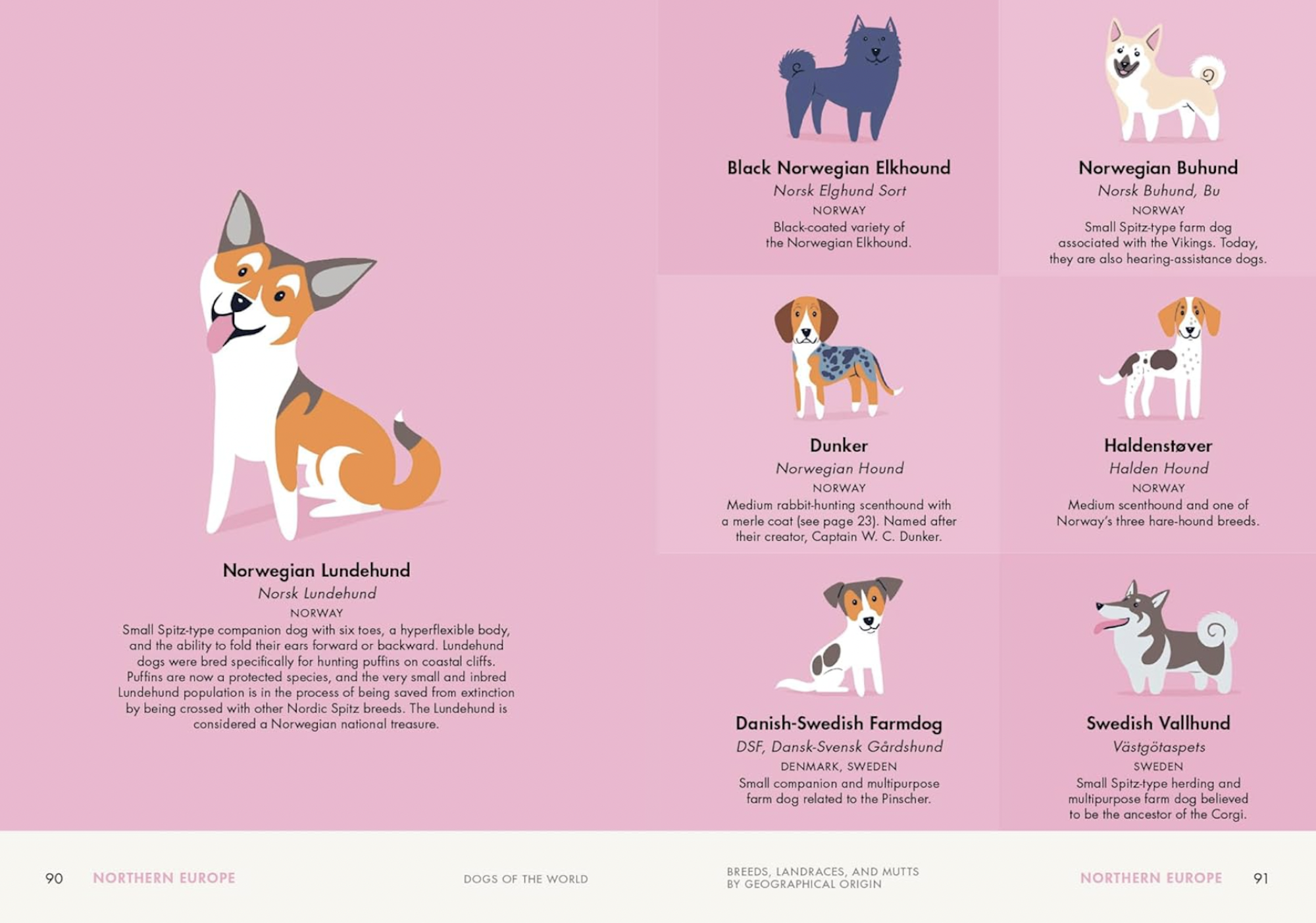 Two pink pages featuring illustrations of 7 dog breeds from Northern Europe.