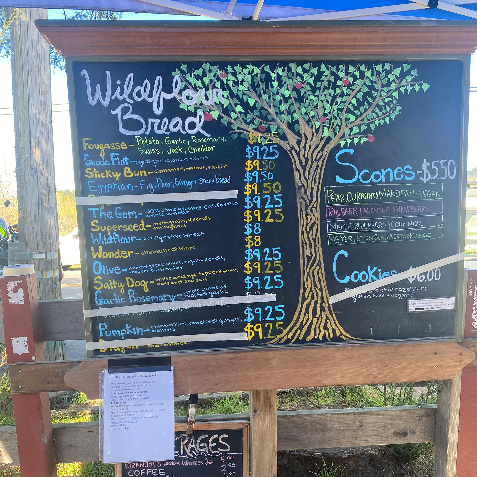 Chalkboard menu for Wild Flour Bread, with a colorful hand-drawn tree. 