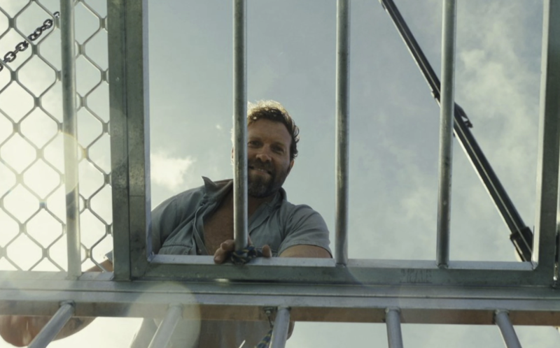 A man in an open blue shirt stares down excitedly into a cage. A sunny blue sky is behind him.