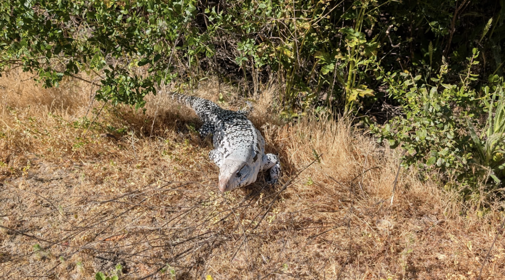 Sochidagi transseksuallar Rus uy qurilishi haqiqiy porno