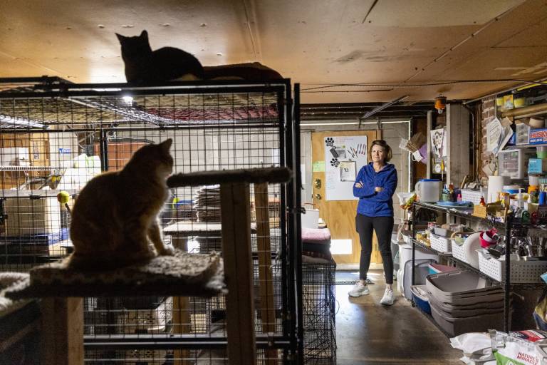 A woman in a blue hoodie and black athleisure pants stands, arms folded, looking at two cats lounging atop and near a large cage, in a room cluttered with materials related to cat rescue