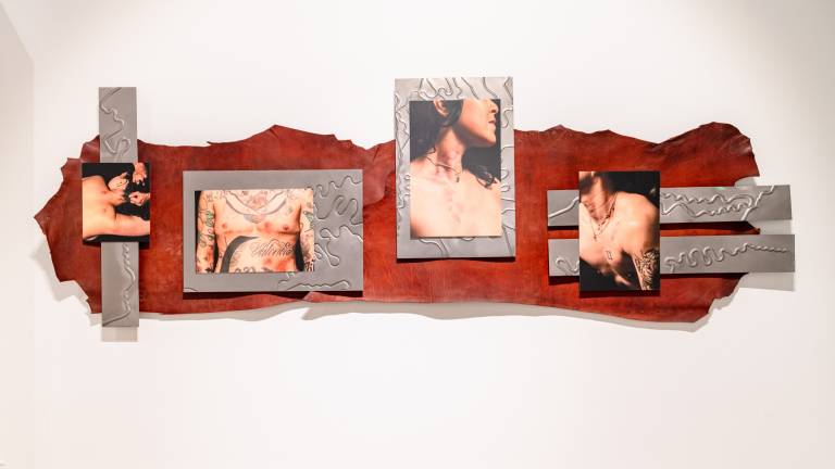 artwork of color prints mounted on metal strips over brown leather hides