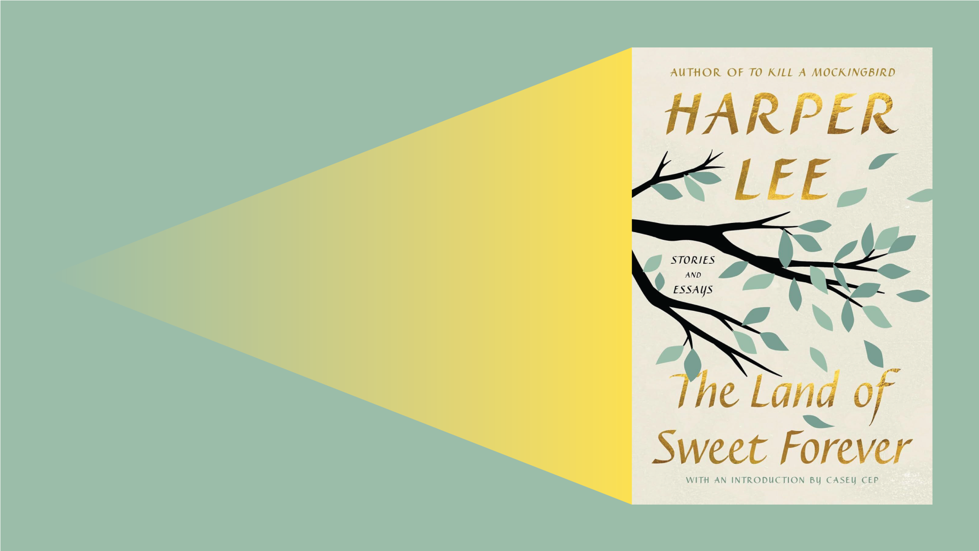 book cover on green background with fading triangle of yellow