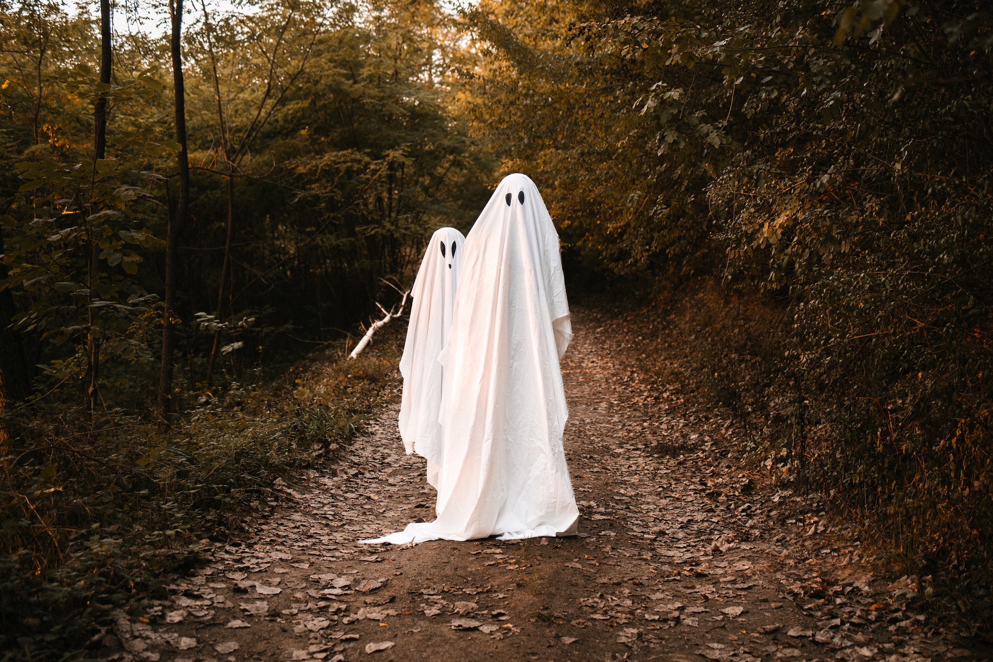 Two people stand on a rural road, surrounded by autumnal trees, dressed as traditional ghosts in white sheet. 