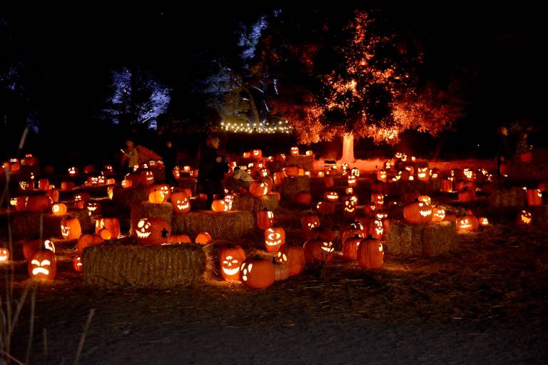 Scores of jack-o-lanterns lie arranged outside at night, on and around bales of hay.