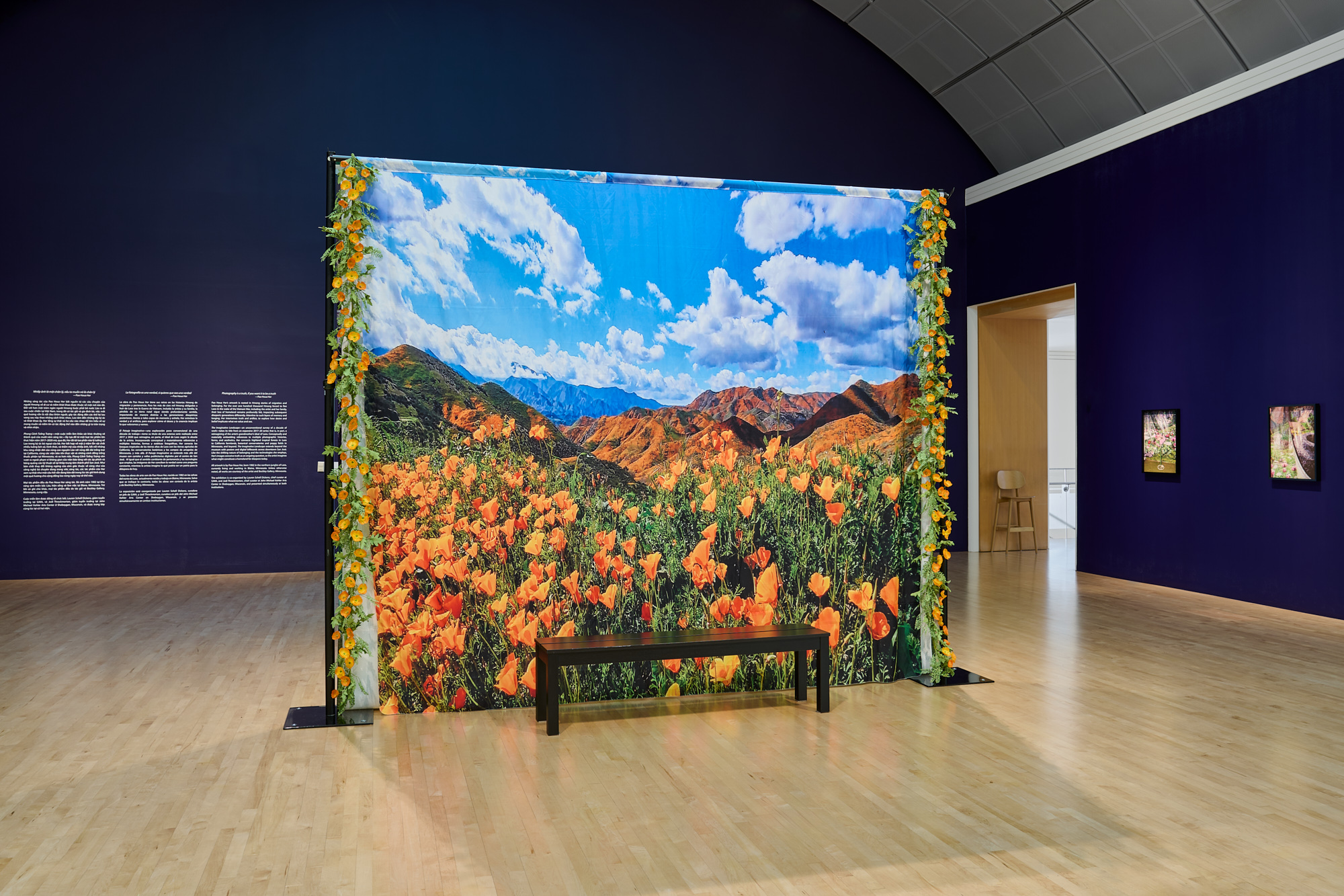 large freestanding backdrop with image of California poppies, fake flowers dangling on either side